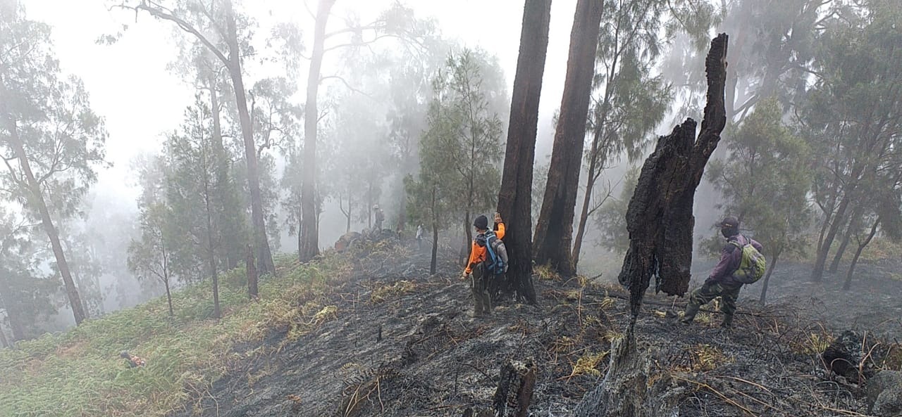 Kebakaran Hutan di Gunung Welirang Pacet Berhasil Dipadamkan