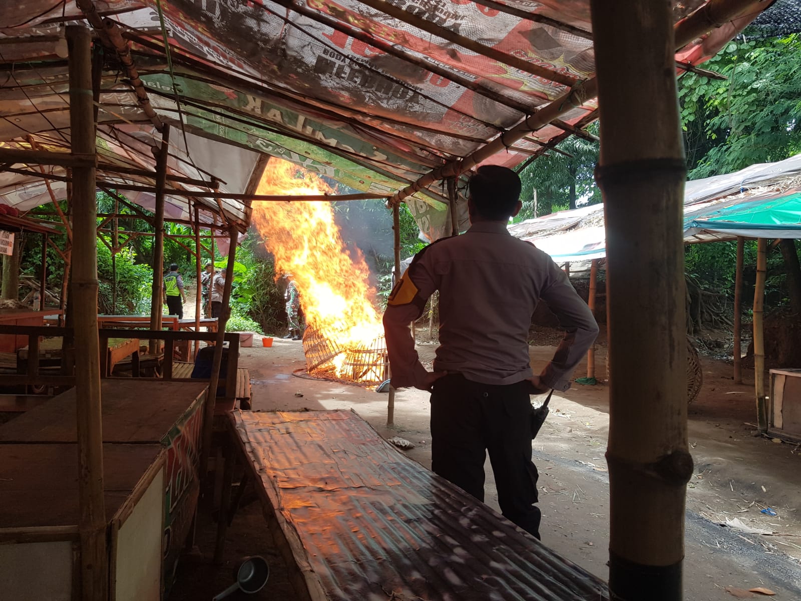 Petugas Gabungan Bongkar Arena Judi Sabung Ayam di Trowulan