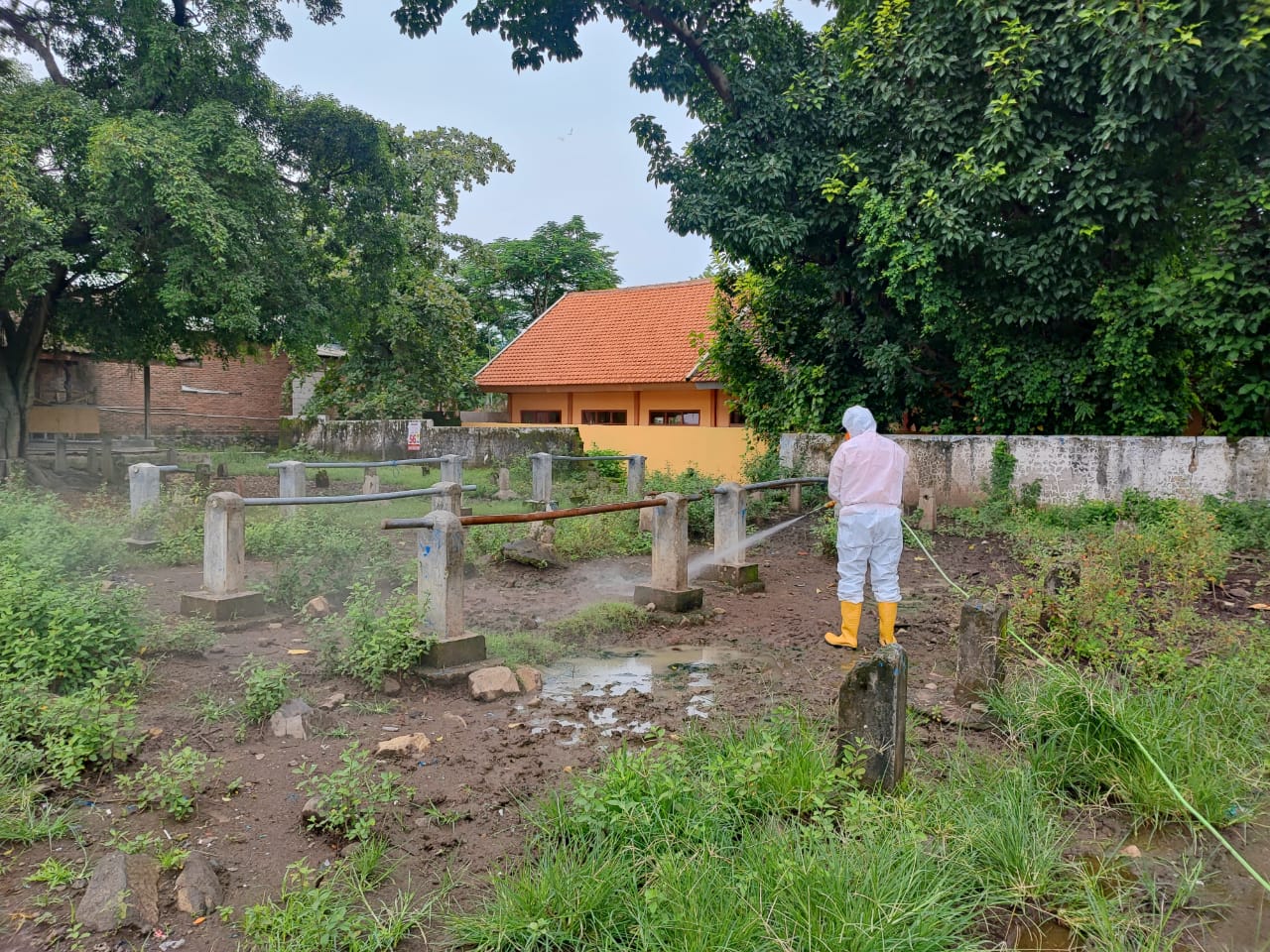 Tekan Penyebaran Wabah PMK, Pasar Hewan di Mojokerto Disemprot Disinfektan