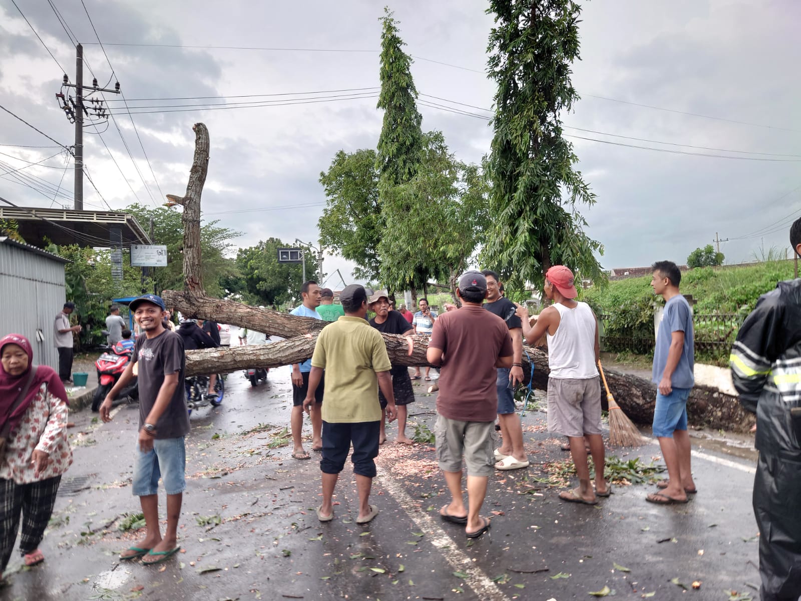 Belasan Rumah dan Warung Rusak di Blooto Kota Mojokerto Usai Diterjang Angin Kencang, 5 Pohon Tumbang