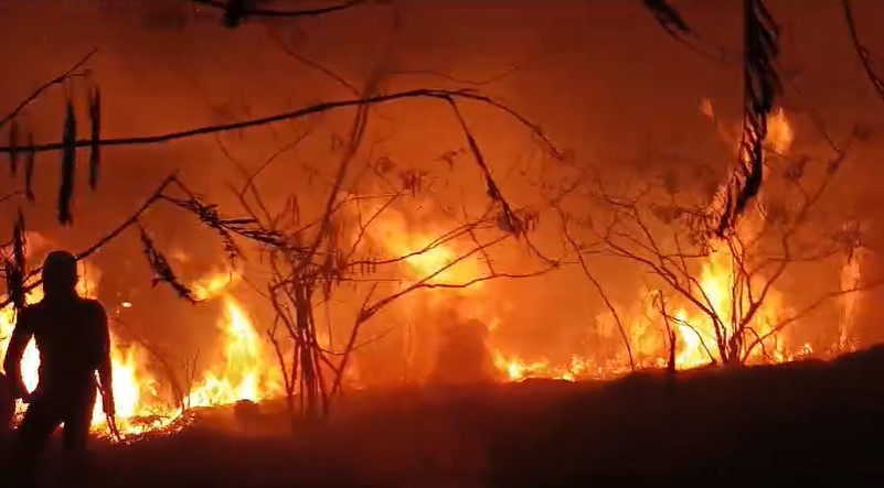 Gunung Penanggungan di Mojokerto Terbakar, 131 Personel Diterjunkan