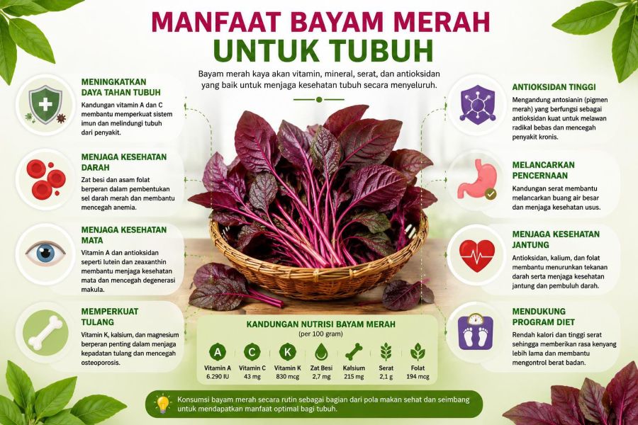 Bukan Sekadar Berwarna Cantik, Bayam Merah Simpan Segudang Manfaat bagi Kesehatan