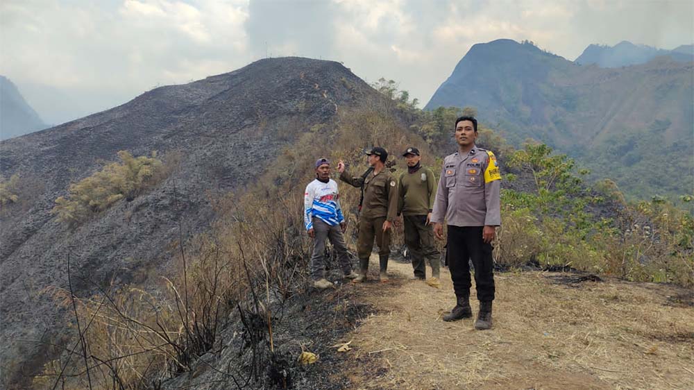 Update Kebakaran Hutan di Pegunungan Anjasmoro Mojokerto, Area Bukit Kencur Padam