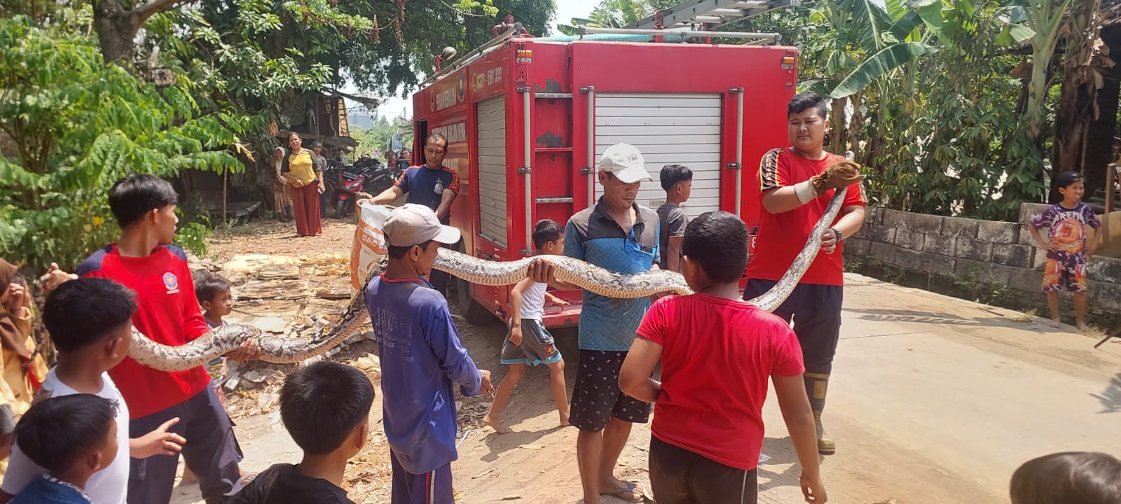 Masyarakat Mojokerto diminta Mewaspadai Ular Masuk Rumah Selama Peralihan Musim