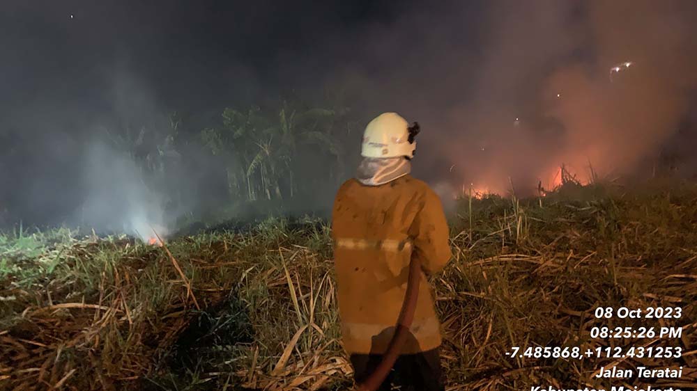 Lahan Tebu di Sooko Terbakar, 3 Unit PMK Dikerahkan