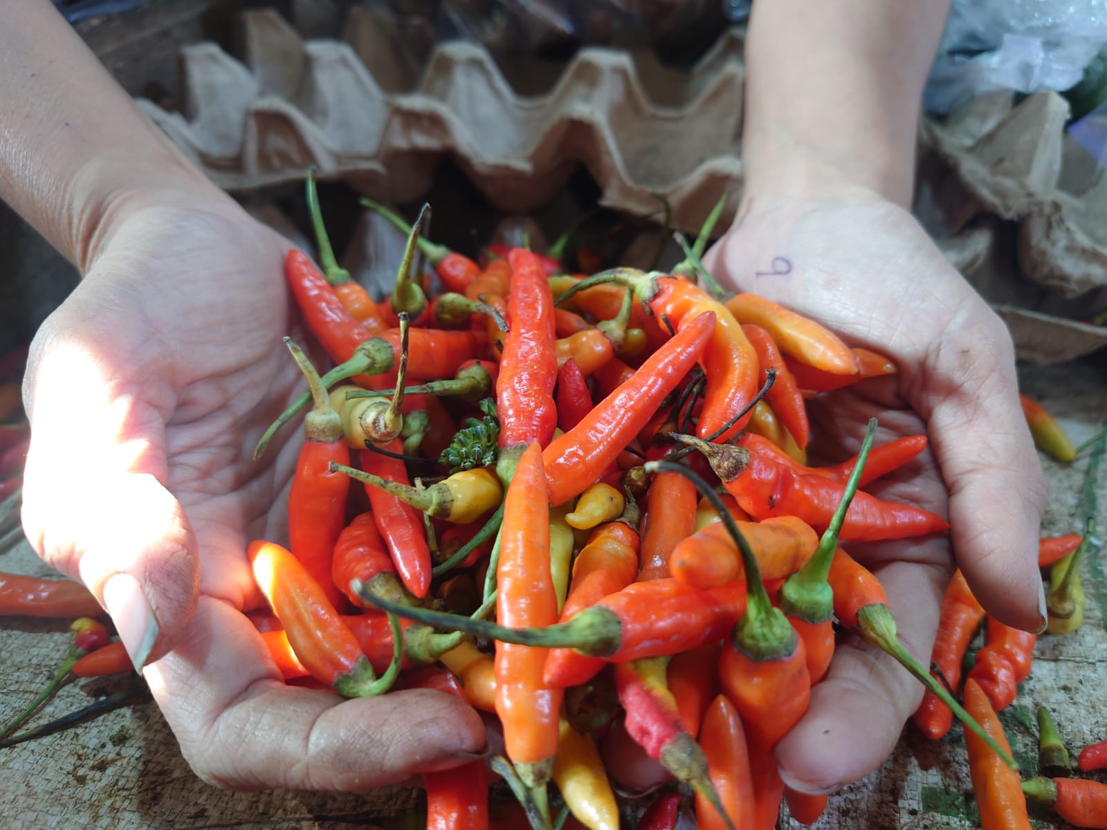 Harga Cabai Rawit Merah di Kota Mojokerto Terus Melangit