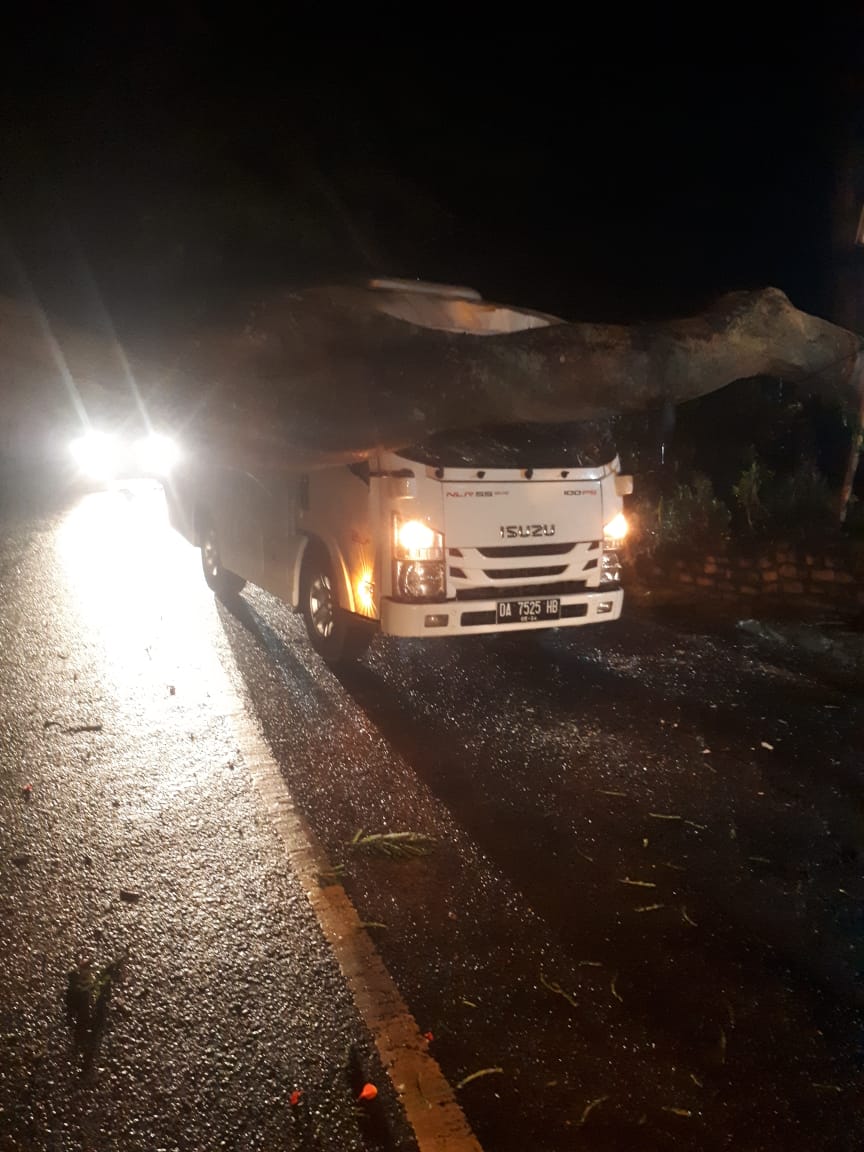 Pohon Tumbang di Trawas Mojokerto Timpa Mobil Mini Bus