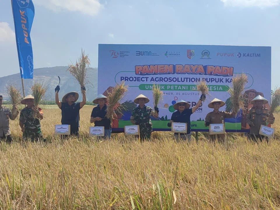 Pemkab Jember Gelar Panen Raya, Imbau Petani Tak Bergantung pada Pupuk Bersubsidi