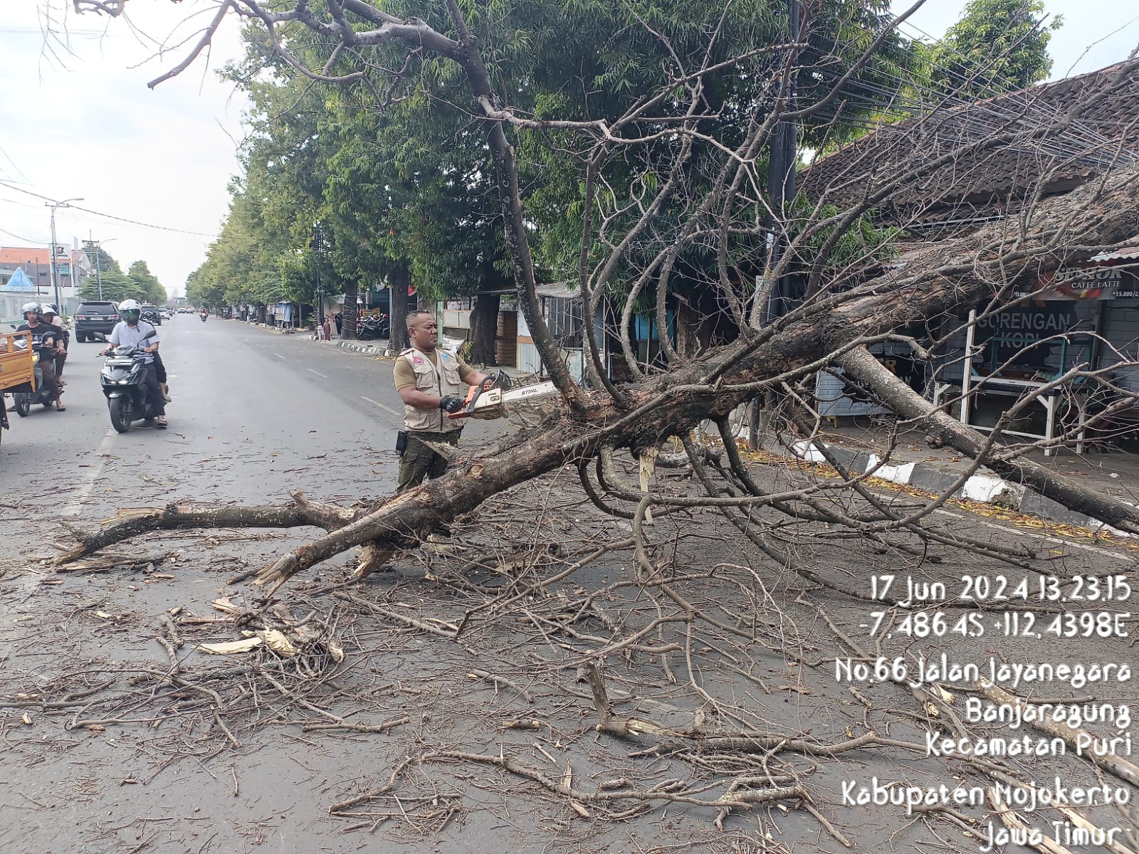 Pohon Tumbang, Jalan di Puri Mojokerto Macet