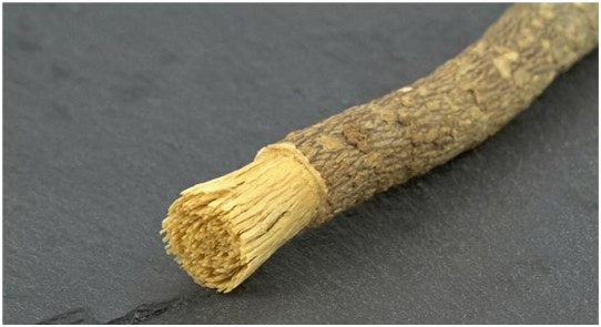 Inilah Keutamaan Ber'Siwak' yang Belum Banyak Diketahui