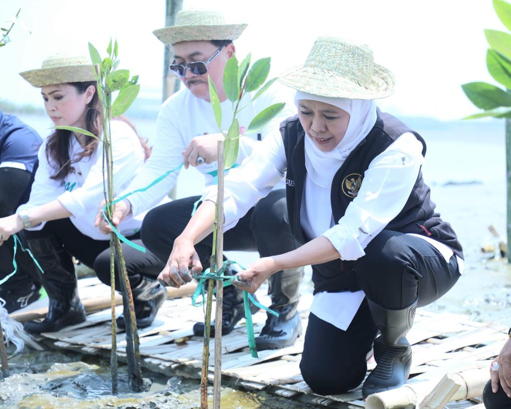 Gubernur Khofifah Tanam 10.000 Bibit Mangrove Wujudkan NZE 2060