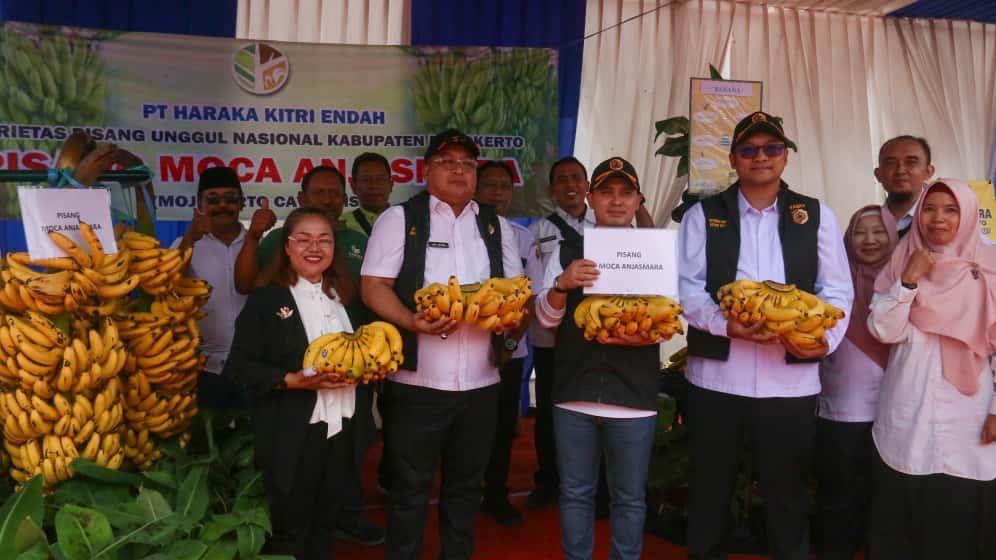 Pertanian Komunal Trawas Jadi Model Kemandirian Ekonomi Mojokerto