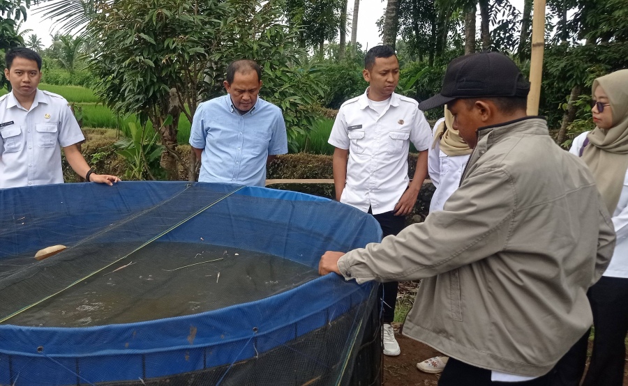 Tinjau Kolam Bioflok, DKPPP Jember Pastikan Program Satu Kolam Satu Keluarga Lancar