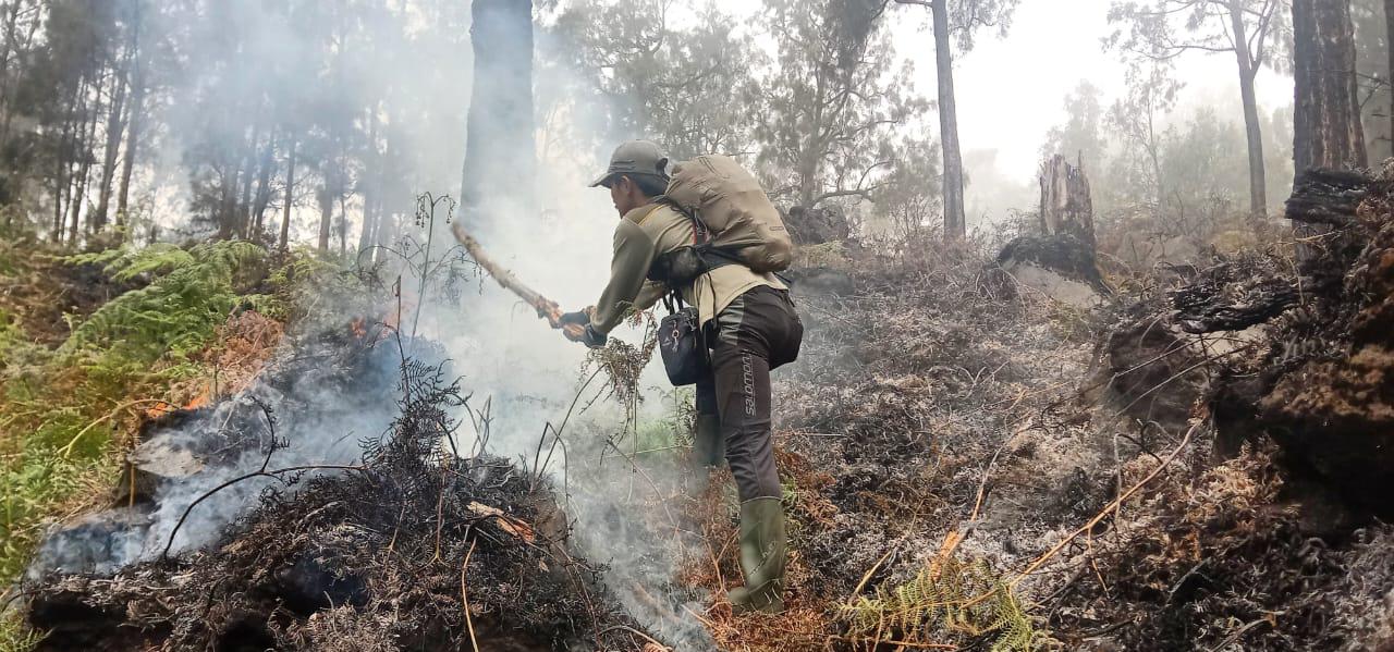 Hutan Gunung Arjuno Terbakar, Ancaman Kawasan Hutan di Trawas, Mojokerto