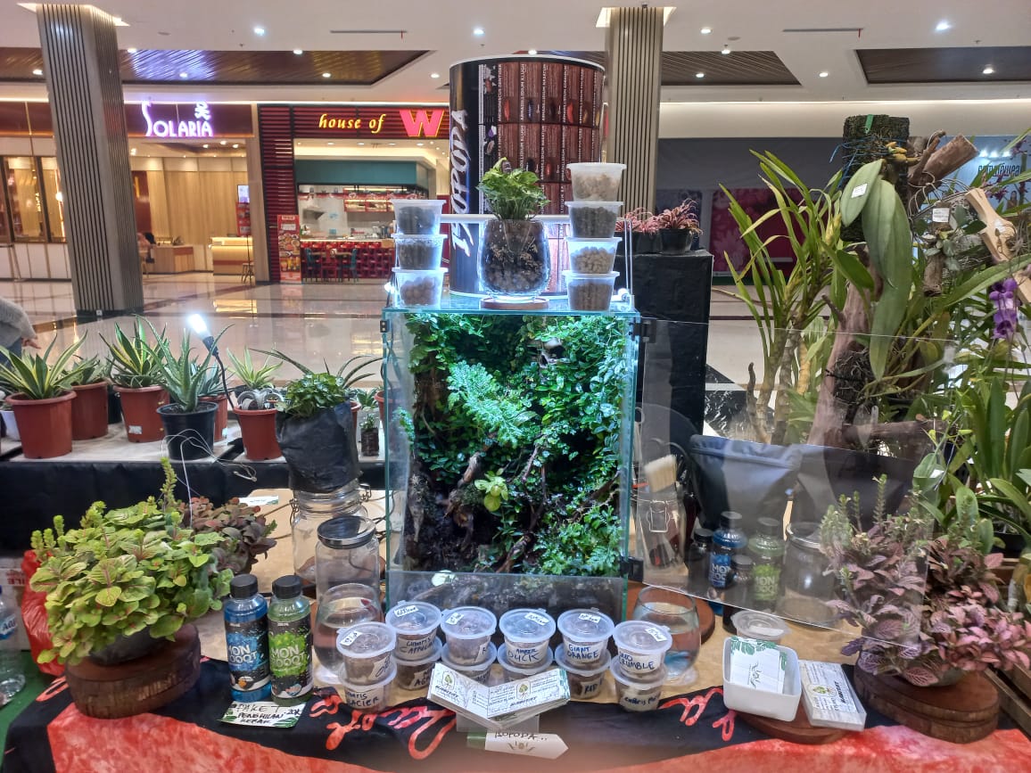 Pameran Flora di Sunrise Mall Mojokerto, Kenalkan Terarium Hingga Pajang Aneka Tanaman Hias