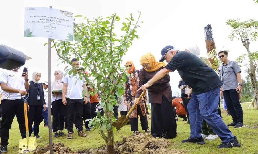 Pohon Maja Simbol Berdirinya Kerajaan Besar Majapahit Ditanam Gubernur Khofifah di IKN