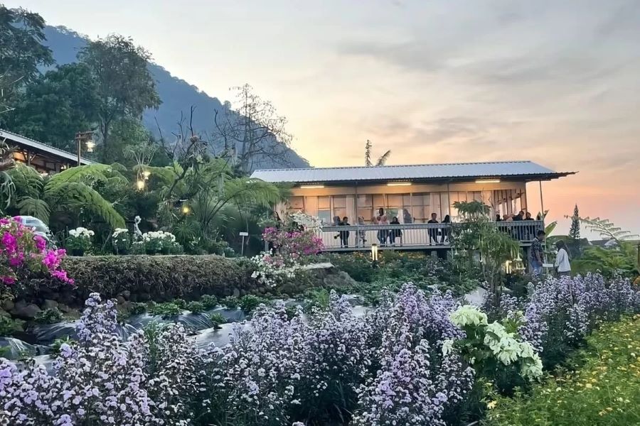 Kafe Escalla Flora, Suguhkan Kuliner Lezat dan Pemandangan Alam Mempesona