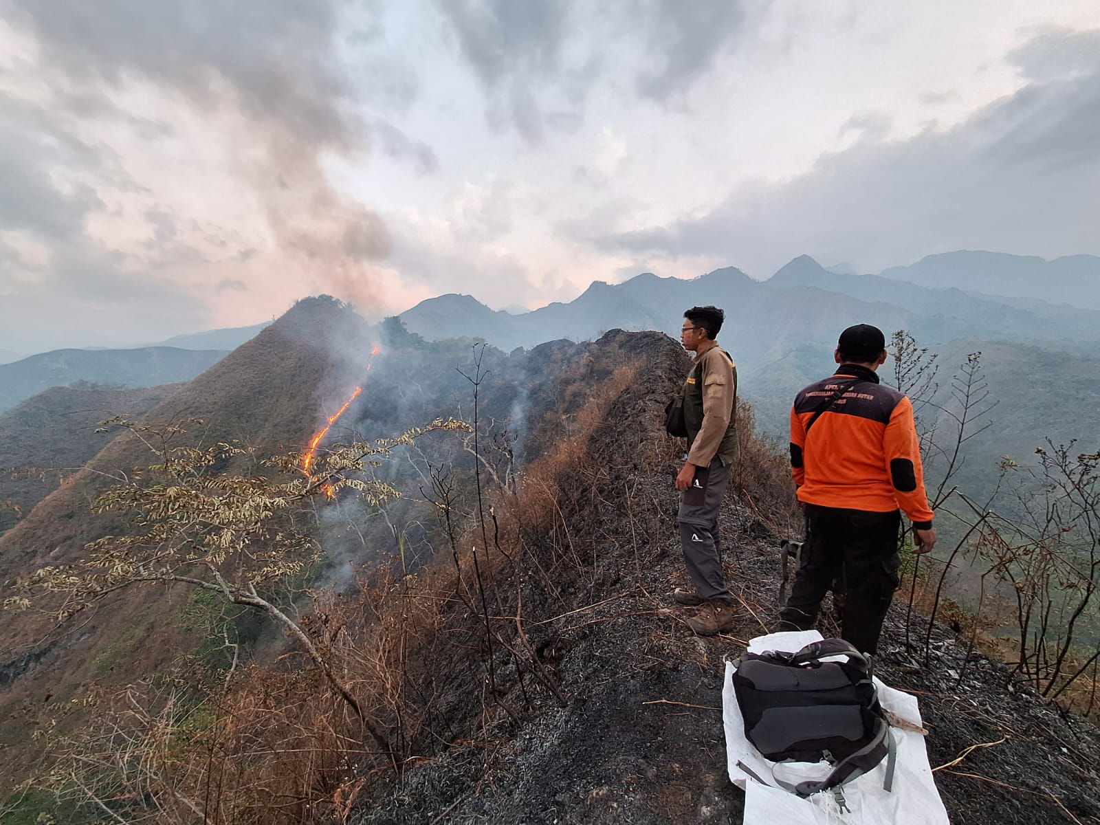 Sempat Padam, Api Kembali Membakar Gugusan Gunung Anjasmoro Mojokerto