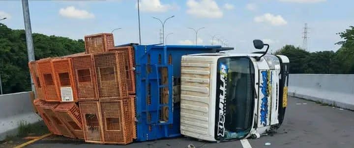 Diduga Akibat Pecah Ban, Truk Bermuatan Ayam Terguling di Exit Tol Penompo Mojokerto