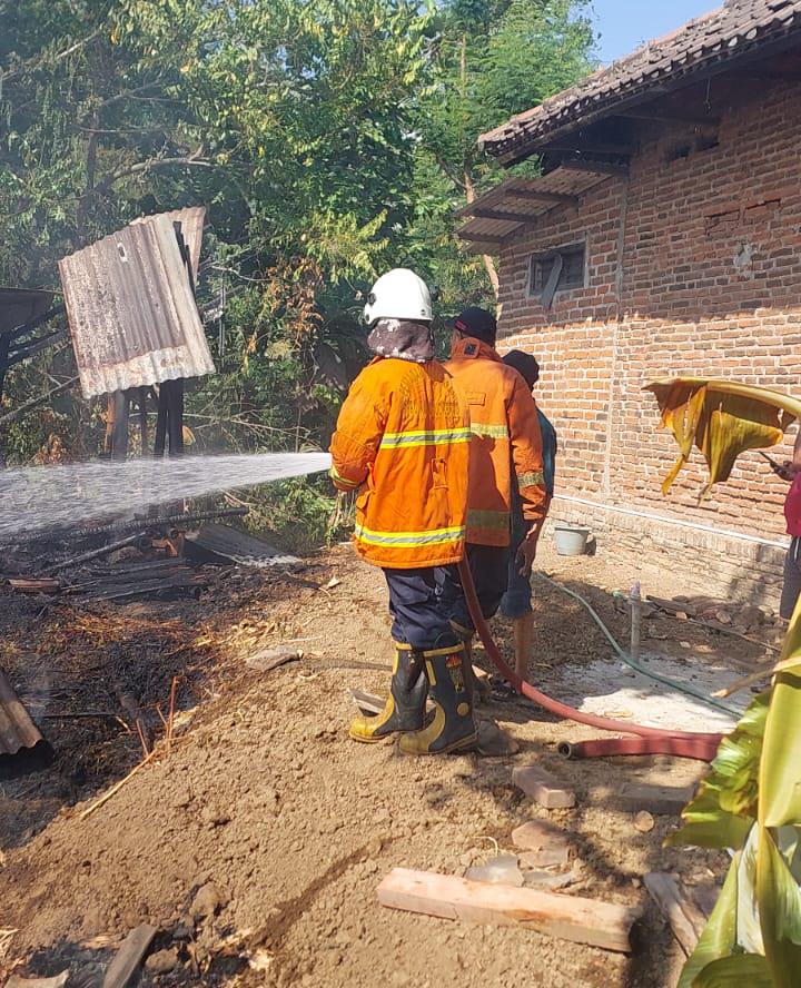 Kandang Ternak di Mojokerto Terbakar, Satu Ekor Kambing Ikut Terpanggang