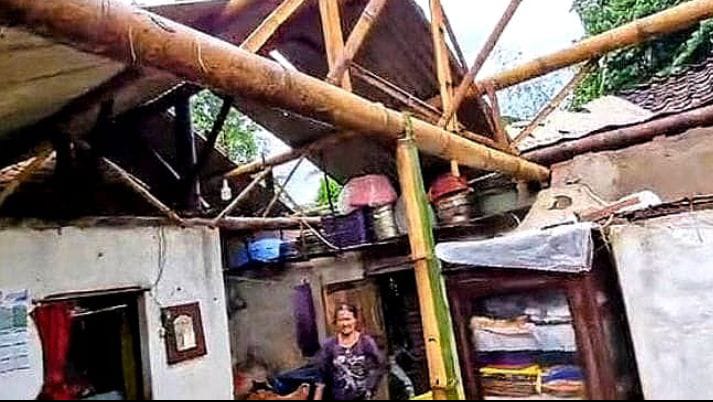 Diterjang Hujan Angin, 13 Rumah Rusak dan 2 Pohon Besar Tumbang di Bondowoso