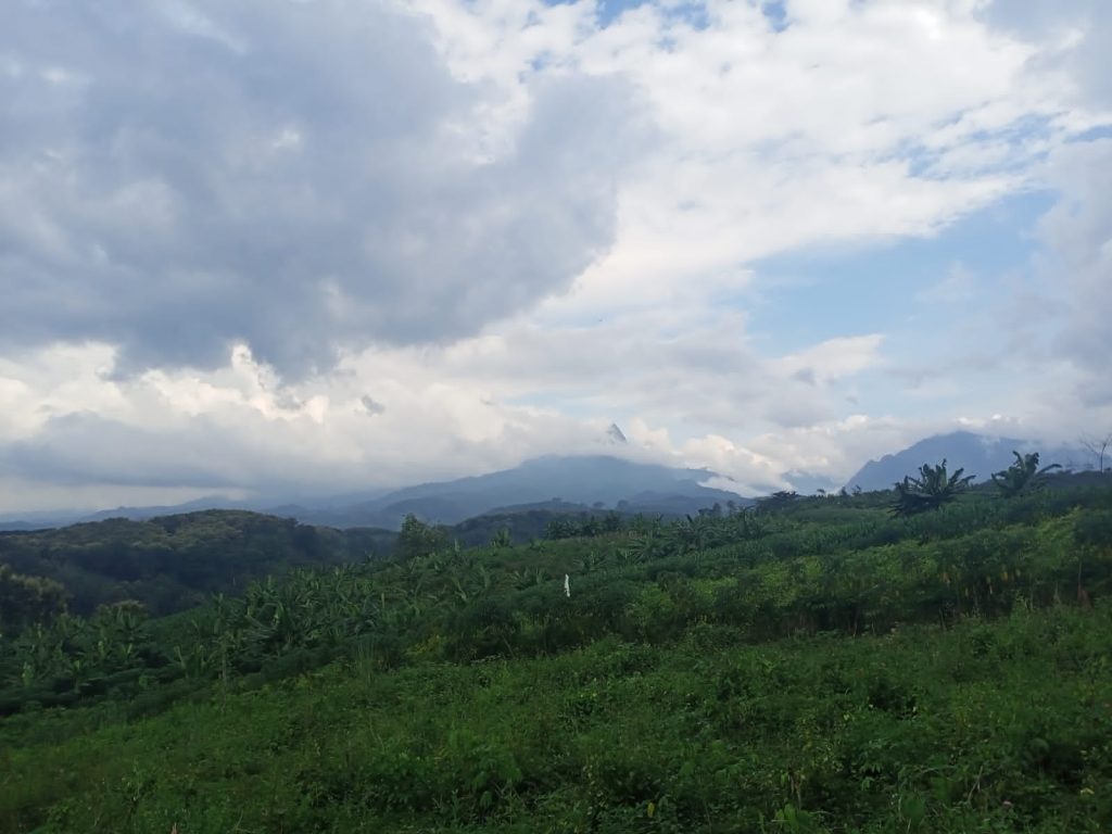 Masyarakat Jabung Mojokerto Menunggu Izin Hutan Kemasyarakatan Demi Hutan Lestari