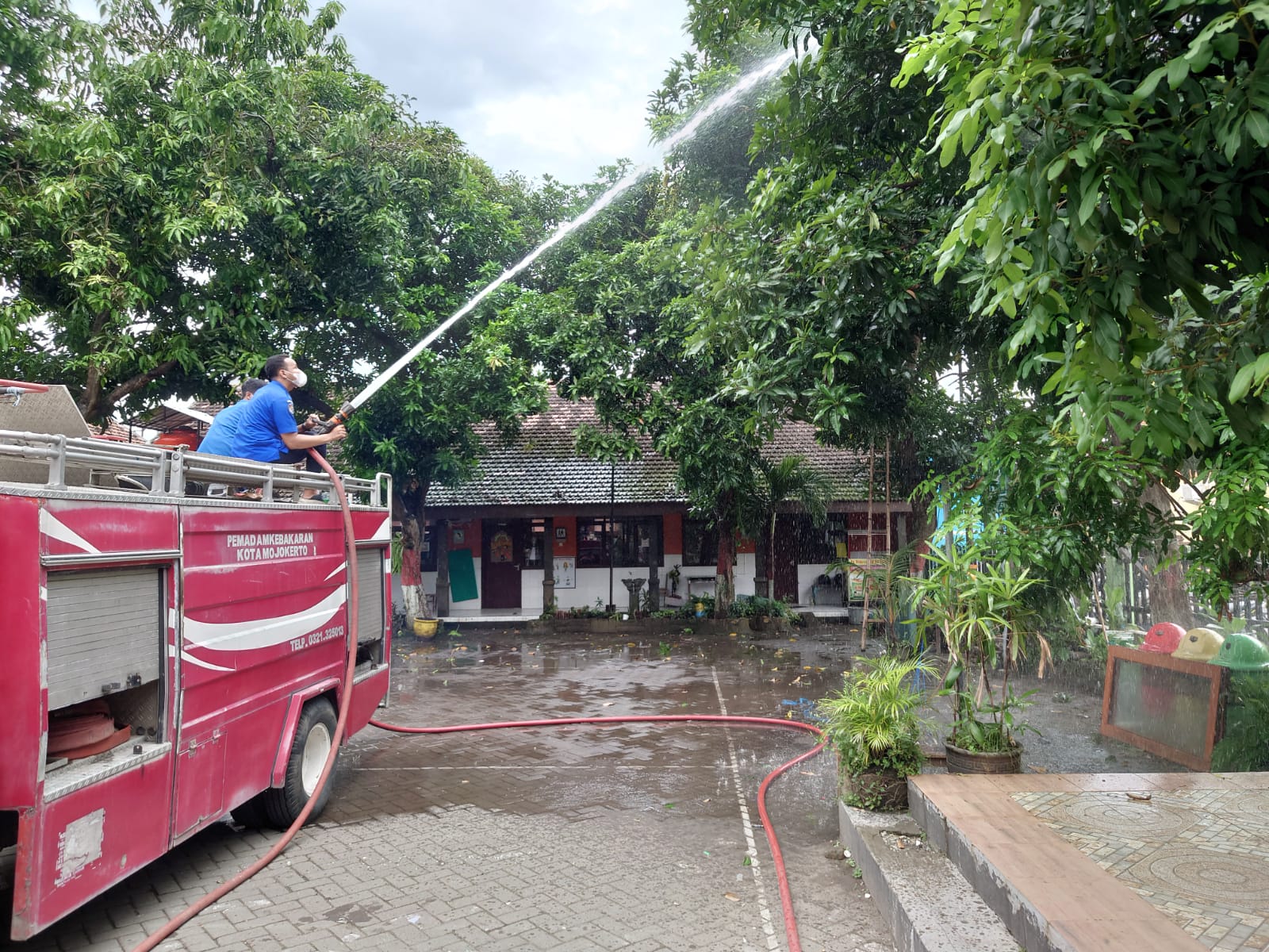 DKPP Kota Mojokerto Sarankan Pemangkasan Ranting Pohon Mangga di SDN 3 Kranggan untuk Basmi Ulat Bulu