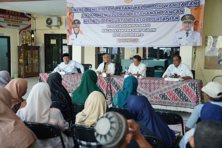 Para Petani di Pulorejo Kota Mojokerto,  Keluhkan Minimnya Alat Kerja dan Pencurian Jeruk di Lahan Sekitar TBM