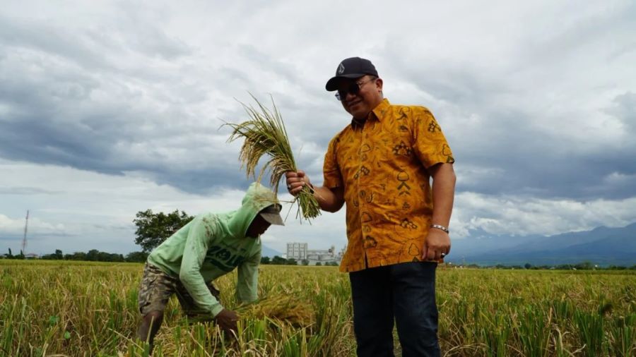 Serapan Pengadaan Beras Bulog Jatim Tembus 200 ribu ton pada Februari 2026