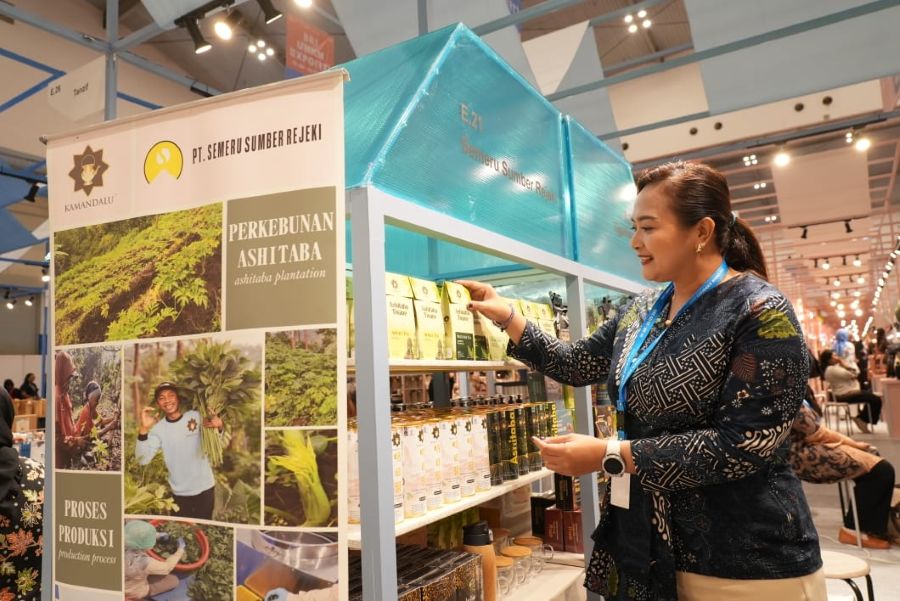 UMKM Herbal di Persimpangan Digital, Bertahan atau Tertinggal? Ini Temuan Riset Terbaru