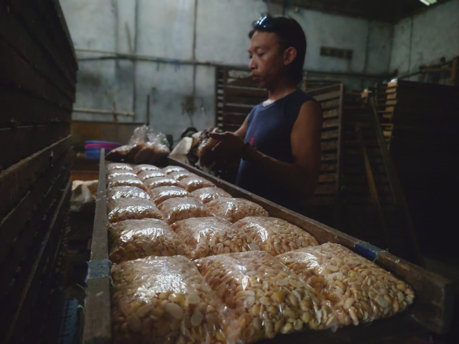 Perajin Tempe di Mojokerto Menjerit, Harga Kedelai Impor Naik Hingga Rp 9.600 Per Kg