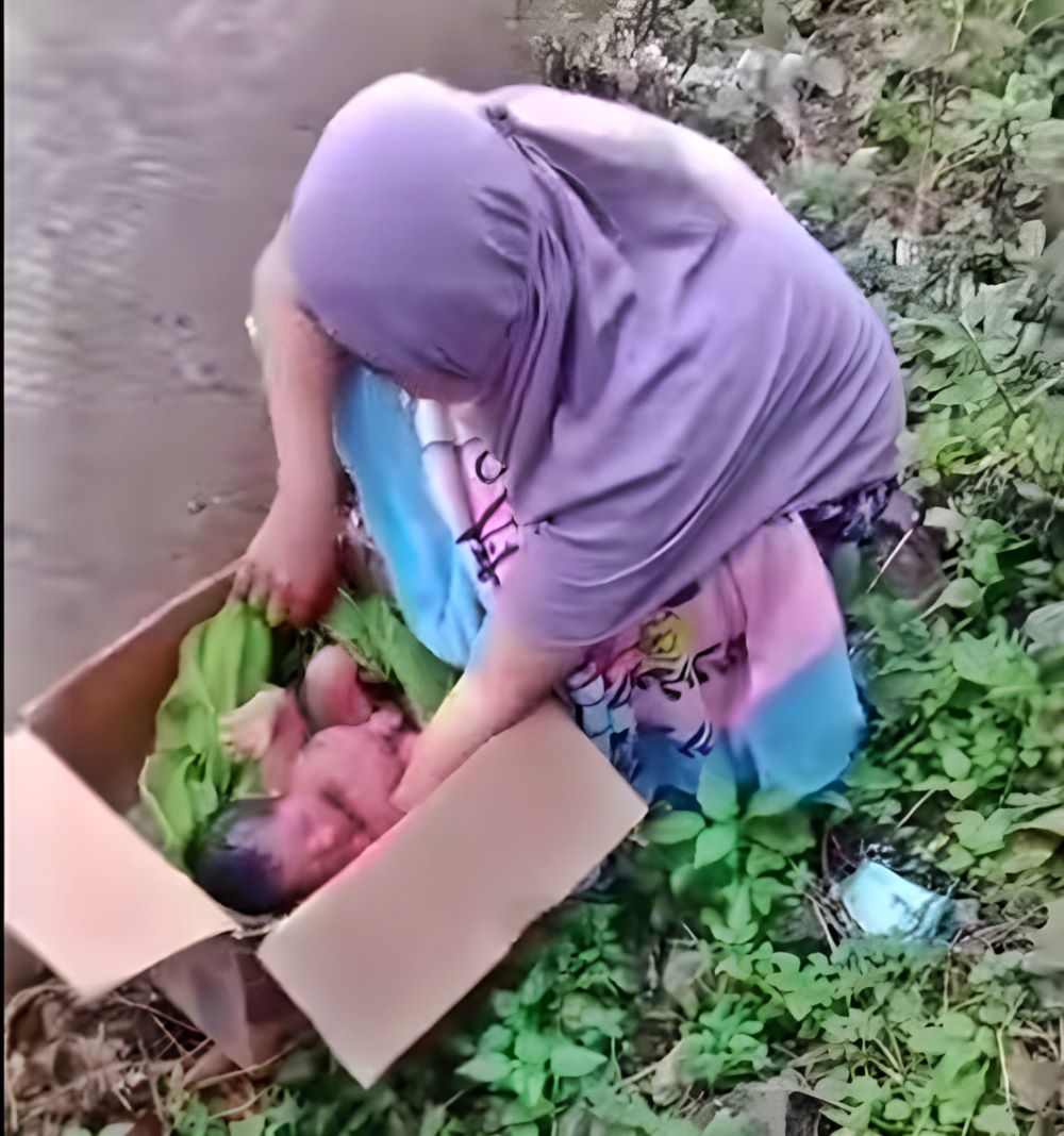 Bayi dalam Kardus Gegerkan Warga Wonosalam, Polisi Lakukan Penyelidikan