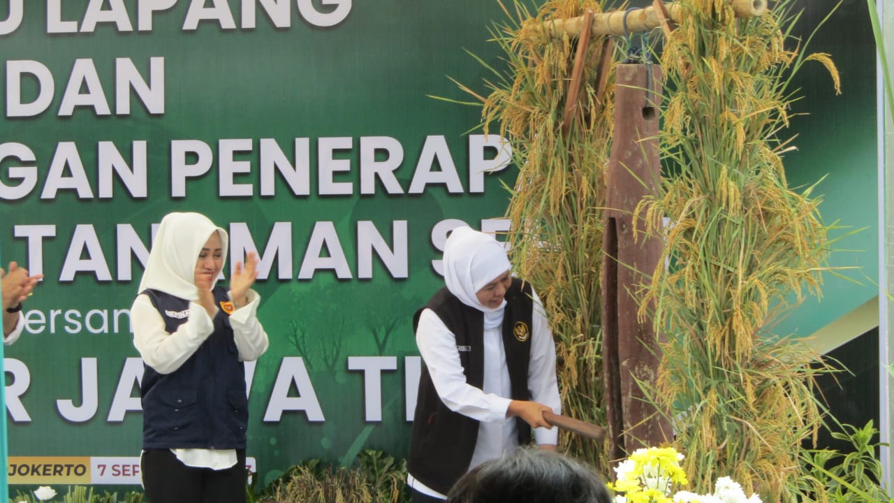 Manajemen Tanaman Sehat di Mojokerto, Gubernur Jatim Ajak Pertanian Jawa Timur ke Arah Lebih Baik