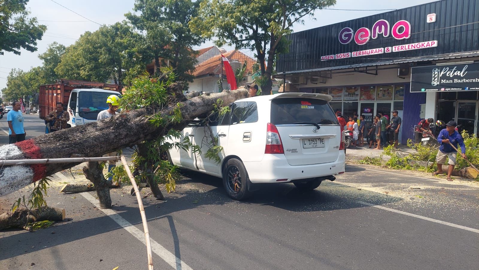 Pohon Tumbang Timpa Mobil di Mojokerto, Kerugian Capai Puluhan Juta
