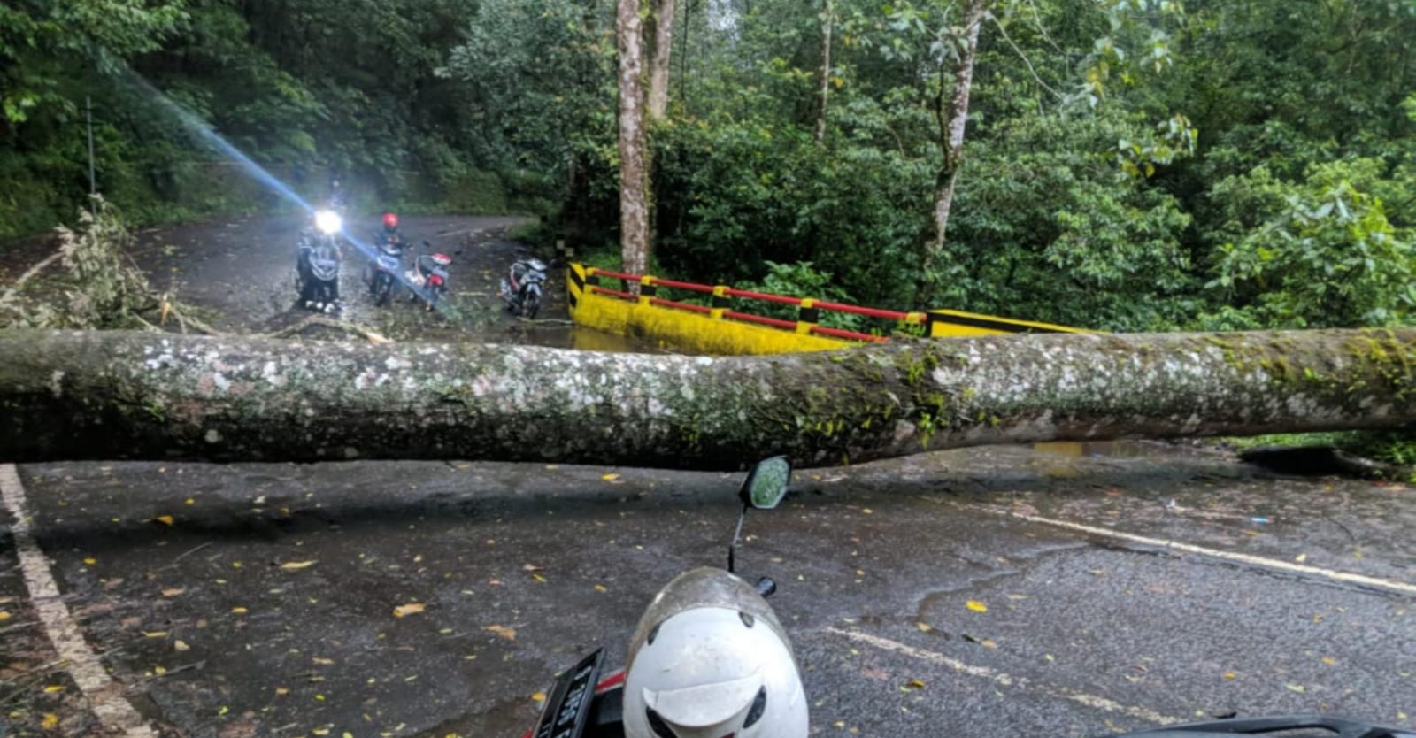 Pohon Tumbang di Jalan Raya Cangar,  Sebabkan Kemacetan Saat Pagi