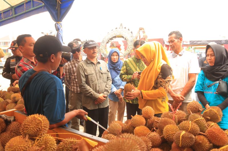 Suka Durian? Langsung Saja ke Paseban Agung,  SerbuTrawas Bazar Durian 