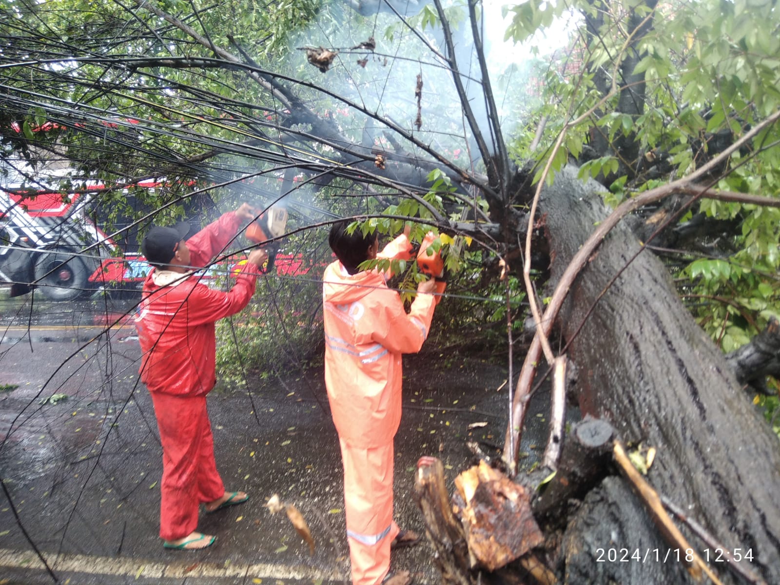 Angin Kencang Tumbangkan Dua Pohon di Mojokerto, Lalu Lintas Sempat Terhambat