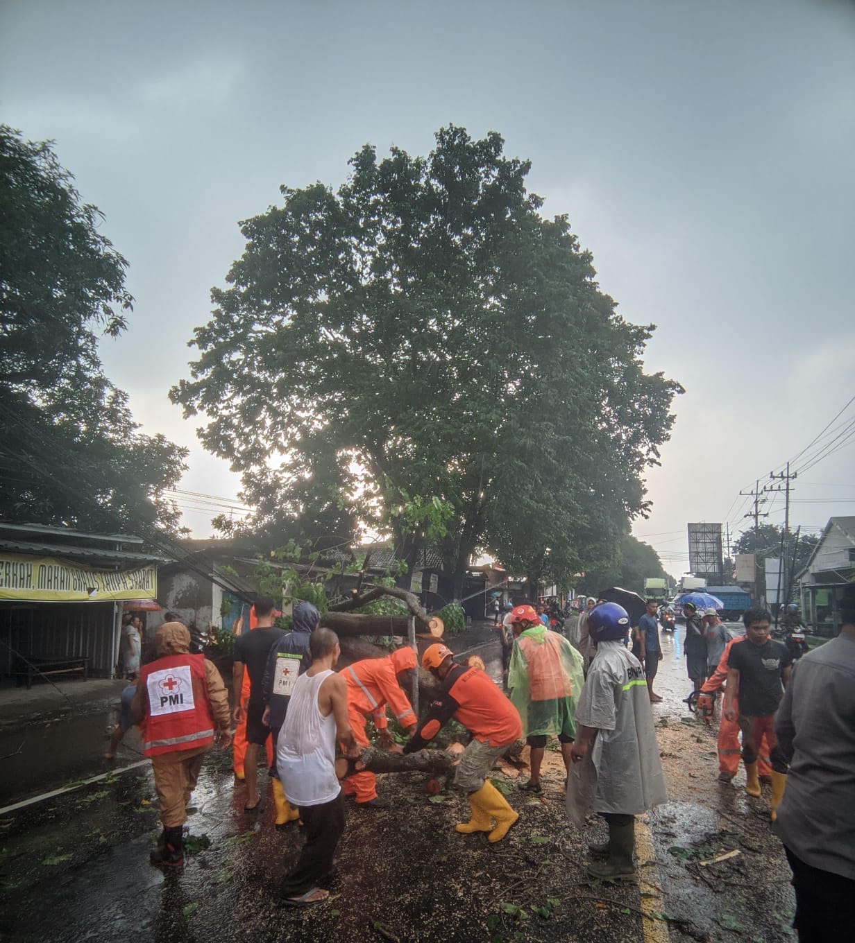 Cuaca Ekstrem, Jalur Provinsi di Mojokerto Rawan Pohon Tumbang 