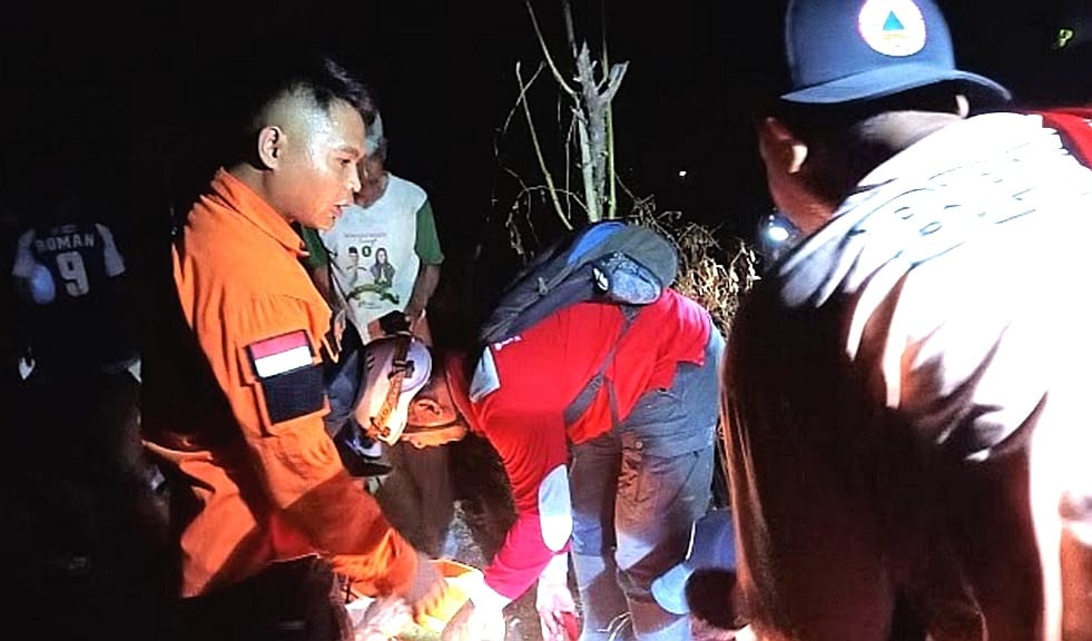 Disengat Tawon, Pencari Madu Hutan di Situbondo Tewas Terjatuh dari Pohon