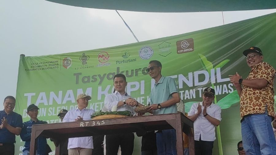 Dorong Produksi Kopi, Mojokerto Kembangkan Lahan Kopi di Ketapanrame Trawas