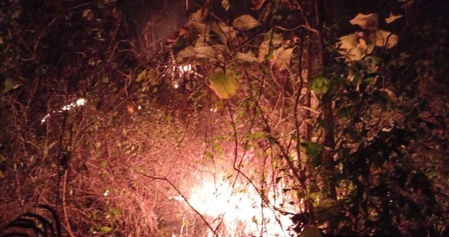 Karhutla Lahap 1,5 Hektare Hutan Jatirejo Mojokerto, Api Padam Setelah 3,5 Jam