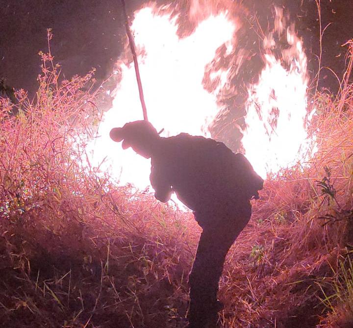 Kebakaran Hutan di Gunung Anjasmaro Gondang Mojokerto Berhasil Dipadamkan