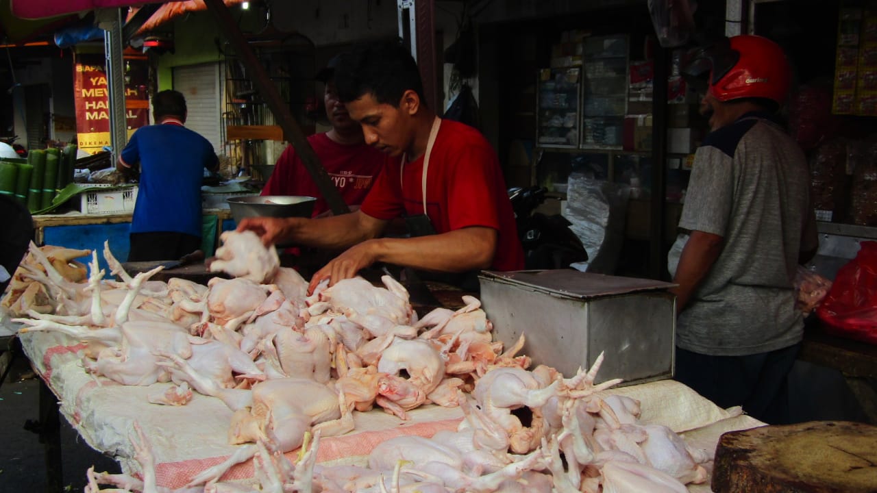 Kenaikan Harga Daging Ayam Ras Penyumbang Inflasi Tertinggi di Mojokerto pada September 2024