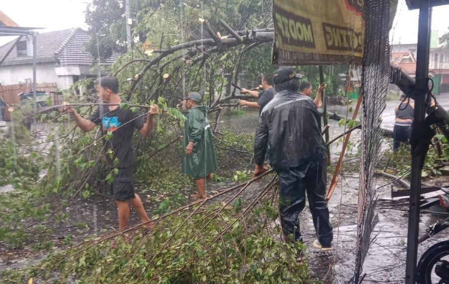 Hujan Lebat dan Angin Kencang Tumbangkan Pohon di Mojokerto, Warung Warga Tertimpa