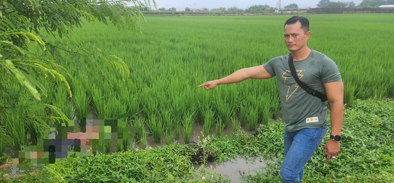 Buruh Tani Asal Nganjuk Ditemukan Meninggal di Persawahan Mojokerto