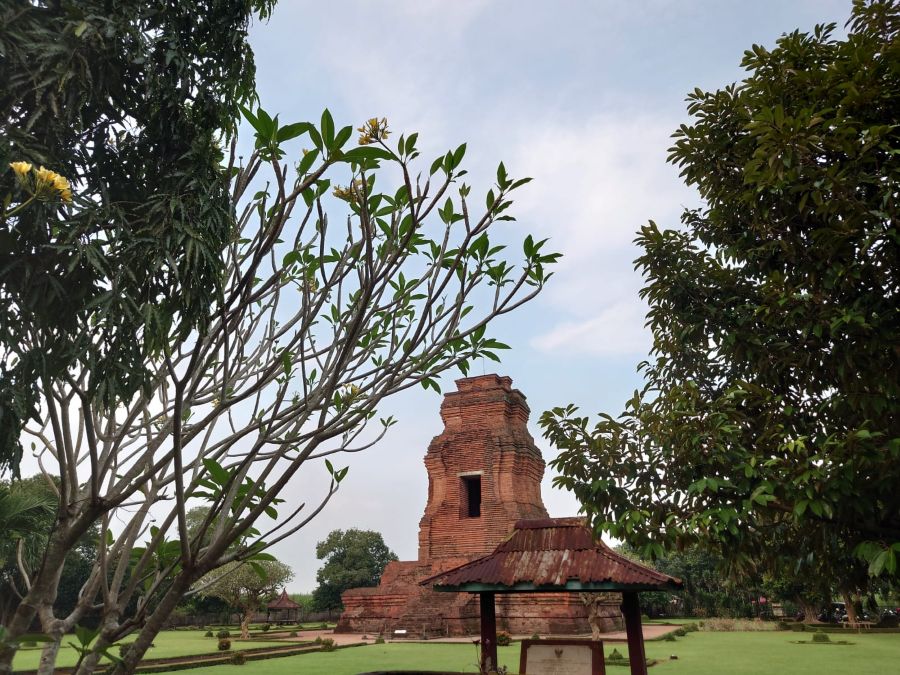 Struktur Batu Bata Diduga Struktur Bangunan Pagar Candi Brahu Mojokerto Berhasil Ditampakkan,