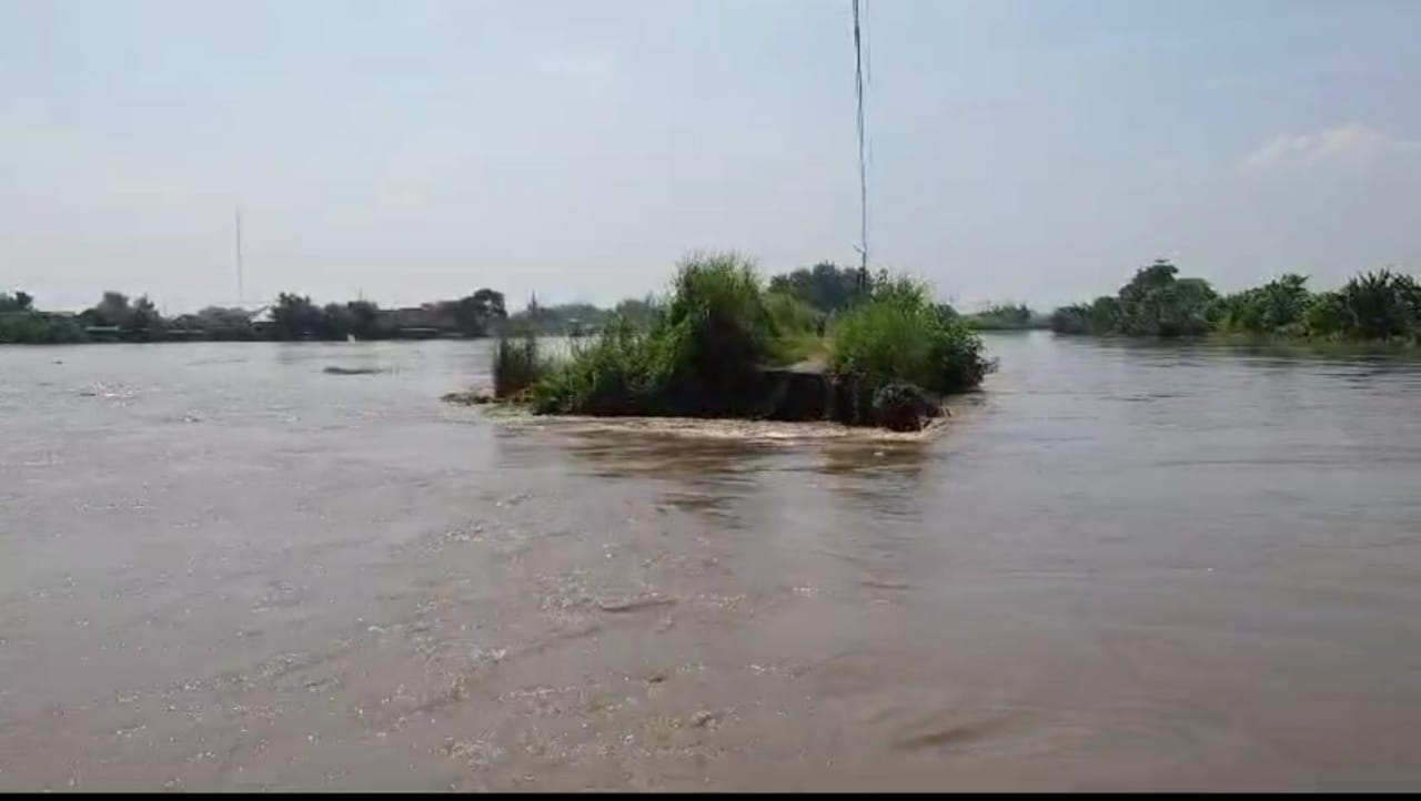 Tanggul Sungai Sadar di Mojosari Jebol, Rendam Rumah Warga dan Persawahan
