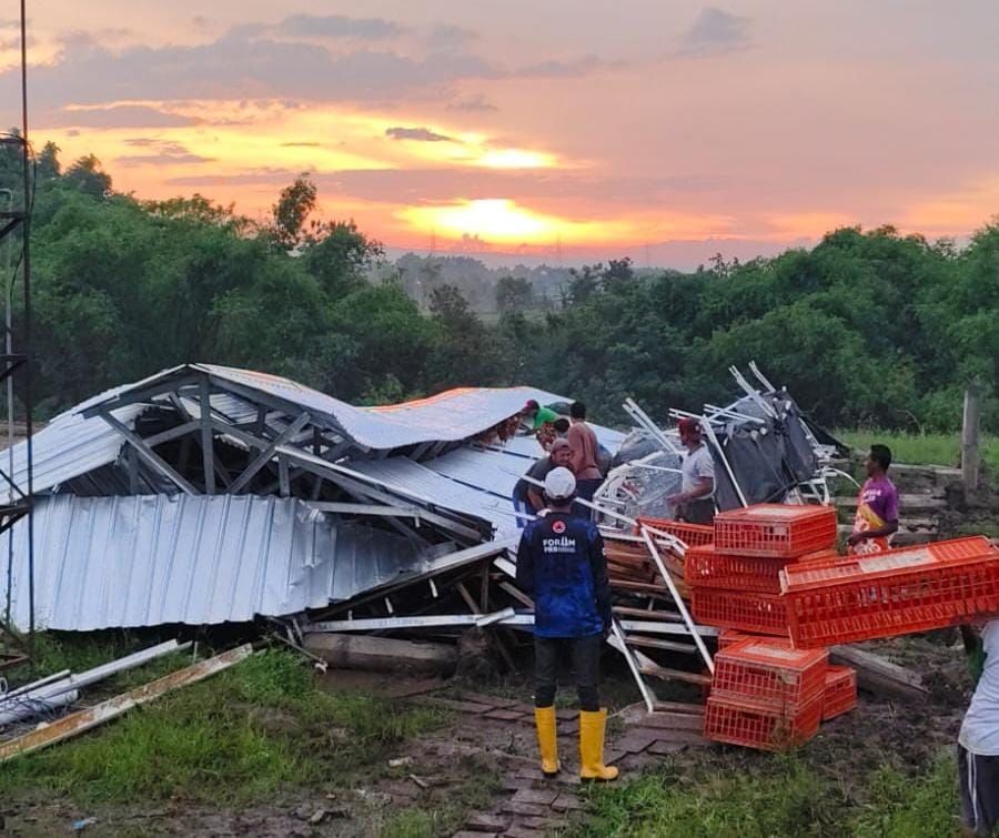 Kandang Ayam BUMDes di Kutorejo Mojokerto Roboh Diterpa Angin Kencang