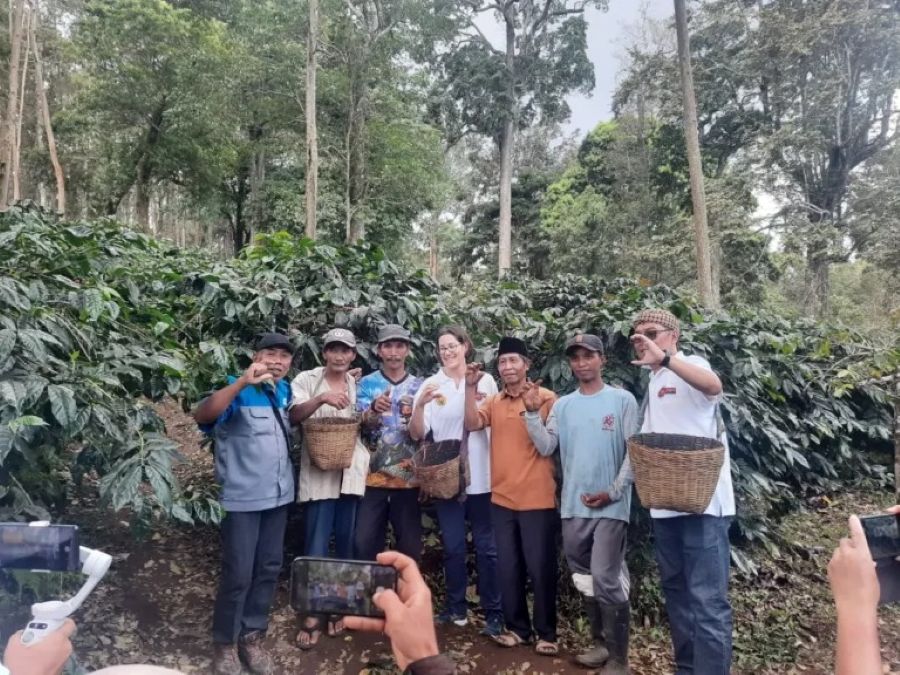 4 Bupati Bakal Hadiri Summer Course Kopi Unej,  Libatkan Peserta dari Jepang hingga AS