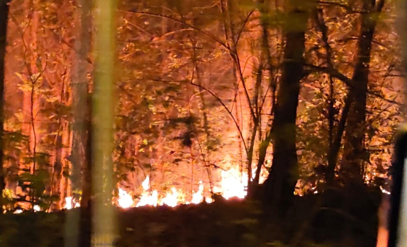 Kawasan Hutan Jati di Jetis Mojokerto Terbakar